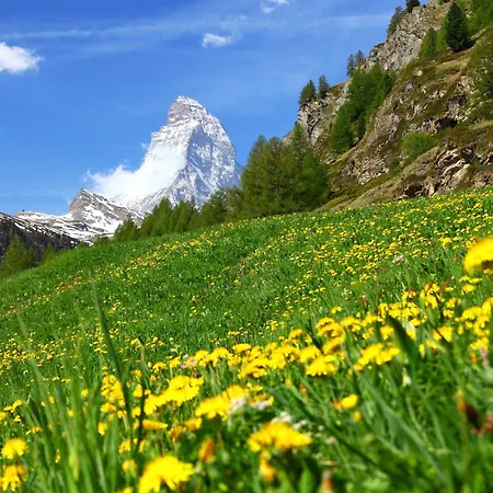 Pasadena-5 By Interhome * Zermatt